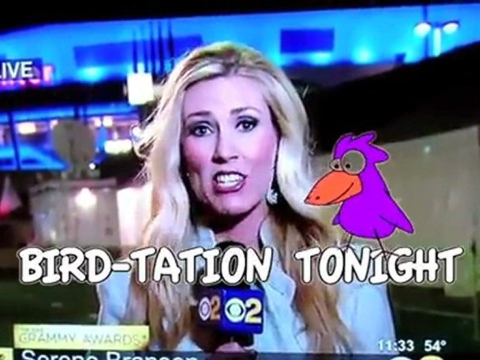 Serene Branson Video Remix