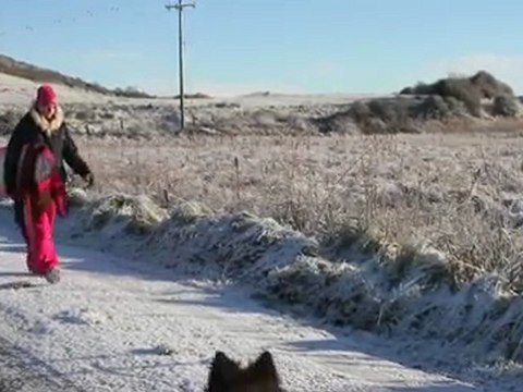 The Extreme Surfers - Environmental Documentary