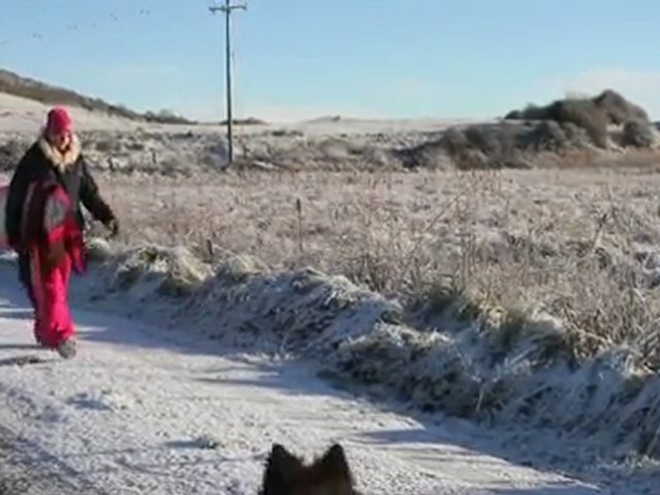 The Extreme Surfers - Environmental Documentary