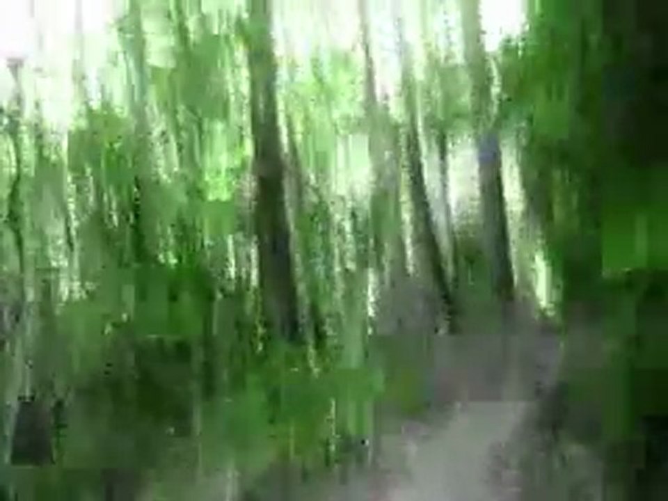 A Short but nice ride...