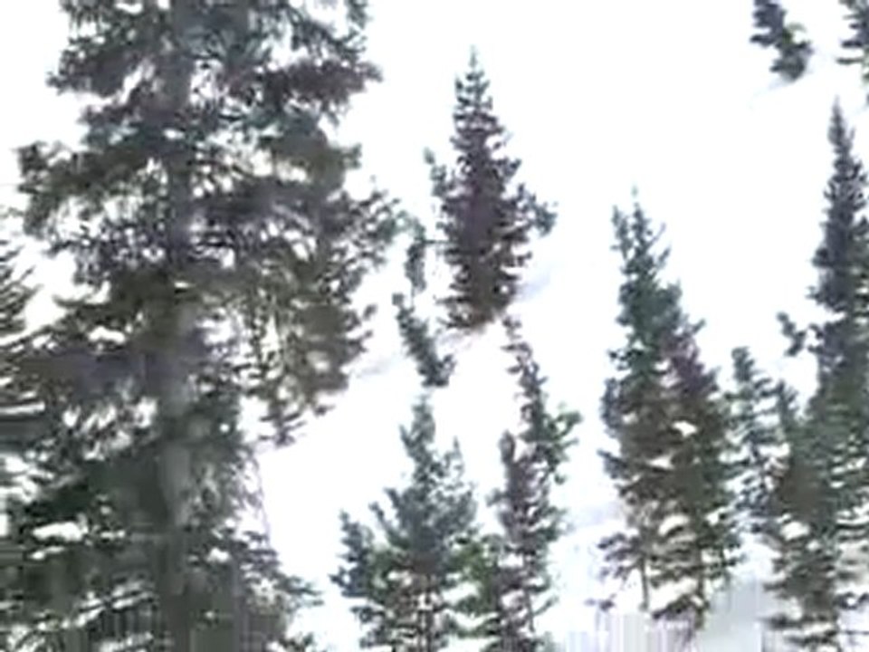 Extreme Skiing competition, Taos 2008