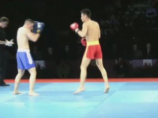 Le Grand Gala Des Arts Martiaux De Chine 12 février 2011