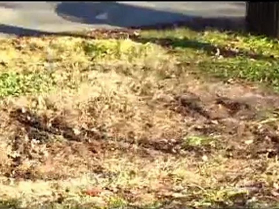 super cool bmx trick vid best eva