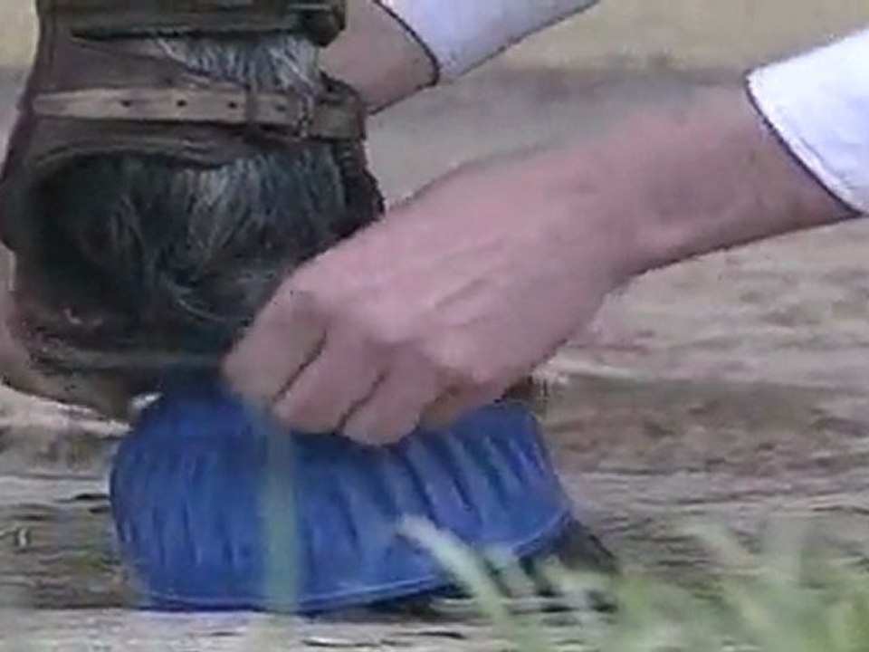 Cours d'équitation galop 3