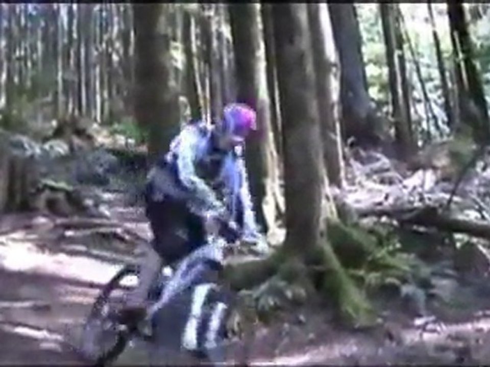Bear Mt Trail