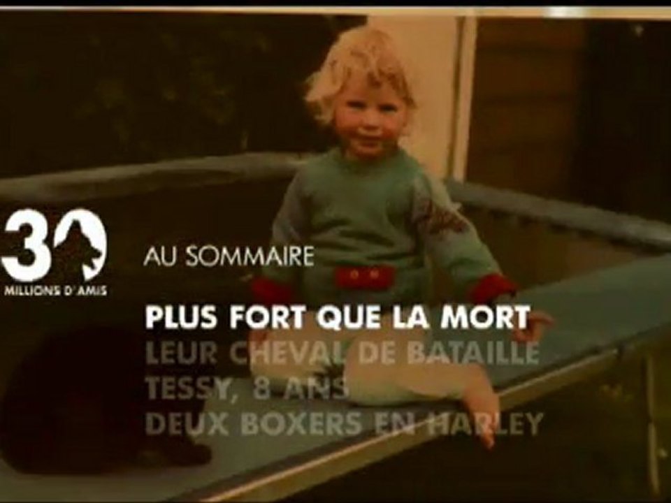 Sommaire émission 30 millions d'amis 19 2 11