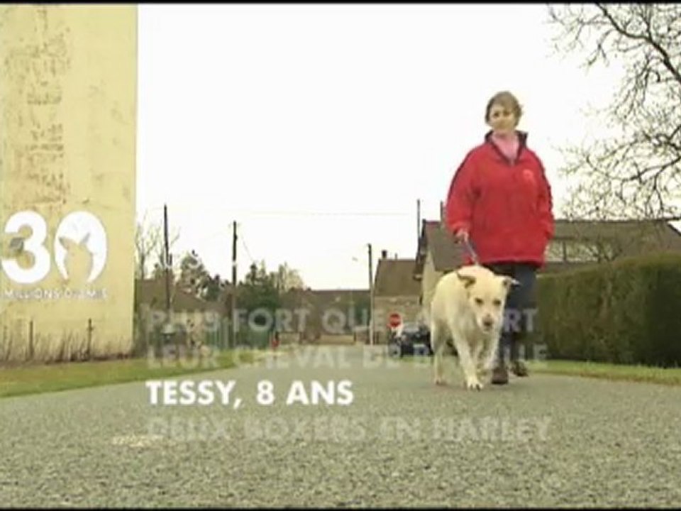 SOMMAIRE 19 02 2011