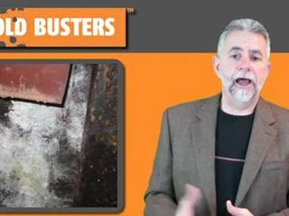 Cold storage room mold growth