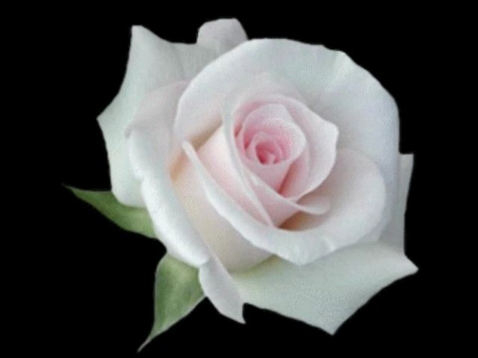 HAPPY BIRTHDAY ALEJANDRA !