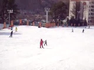 Comment ils skient ici...