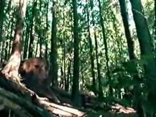 Kris Holm Freeride video