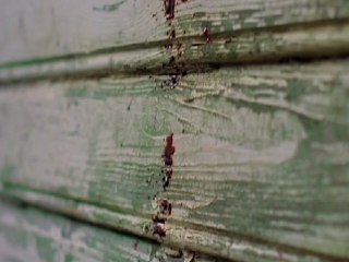 Birds Eye View 2011: Bloody Women