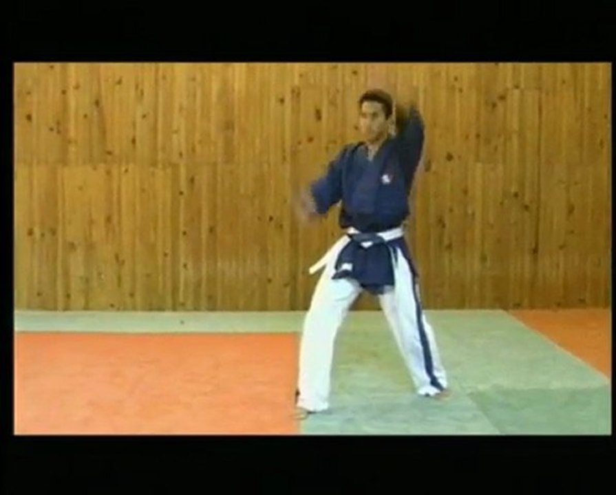 Cours de yoseikan budo fight