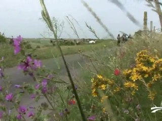 Les trésors de l'île de la Dive à St-Michel-en-l'Herm (85)