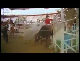 187 - Mark Healey - certified nutcase