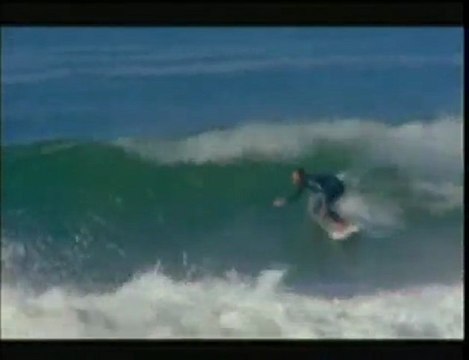 186 - Dane Reynolds signature boardshort profile