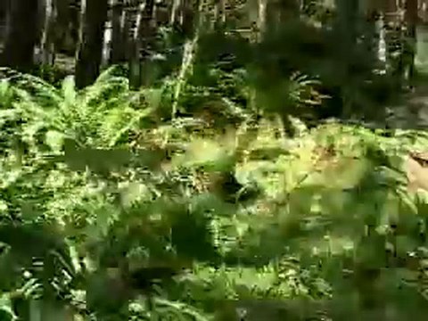 Cable cam extreme downhill mountain bike