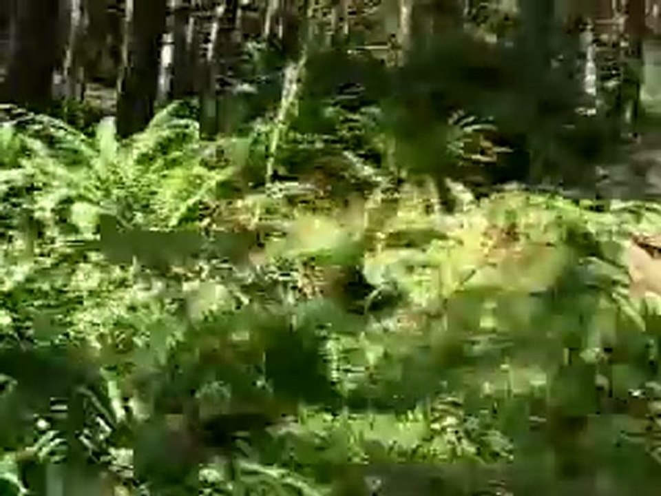 Cable cam extreme downhill mountain bike