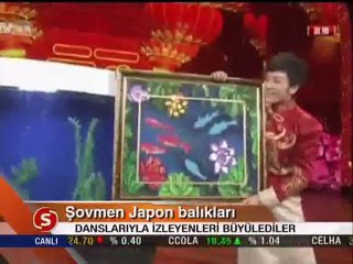 şowmen japon balıkları