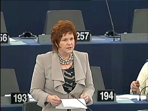 #MEP Sharon Bowles on the employment policies of the Member
