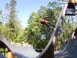 Bams Or Bust - Collins Silent Night