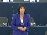 #MEP Elizabeth Lynne on the employment policies of the Membe