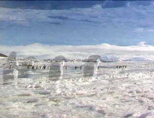 Antarctica Land of ICE