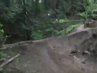 Daves bail haha