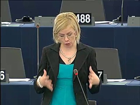 #MEP Riikka Manner on the employment policies of the Member