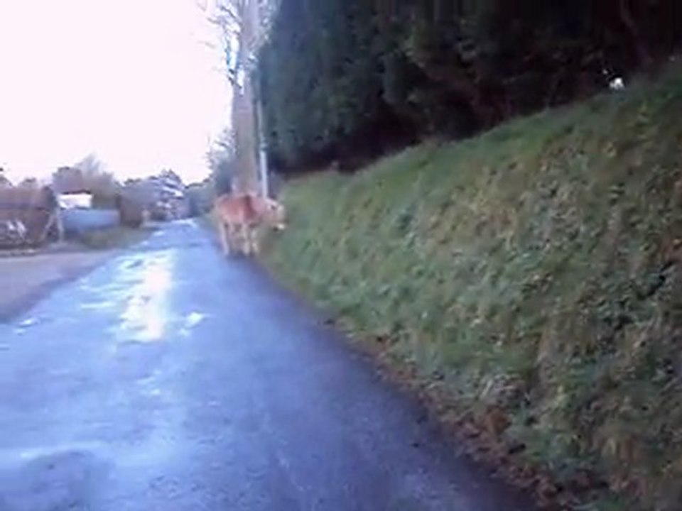 Raz Koat balade à pieds