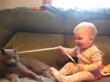 Kedi Bebeği Gülmekten Kırdı Geçirdi