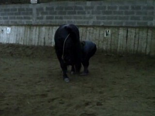 lundi 14.02