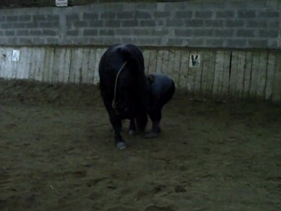 lundi 14.02