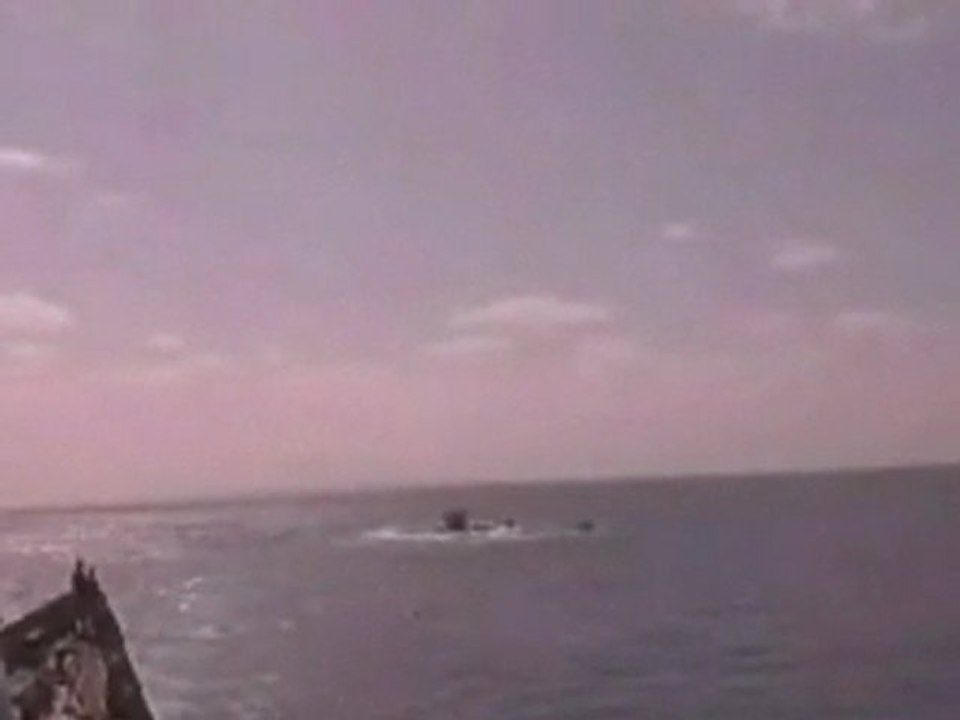 Navy frees pirates' hostages