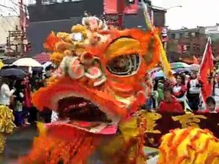 Chinese New Year Celebration (Year of the Rabbit)