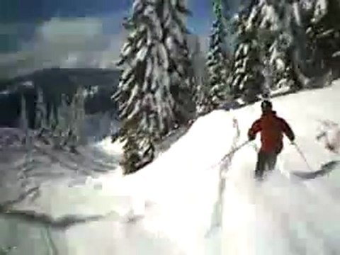 telemark skiing