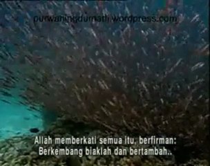 Visualisasi Pada Mulanya Allah Menciptakan Langit dan Bumi
