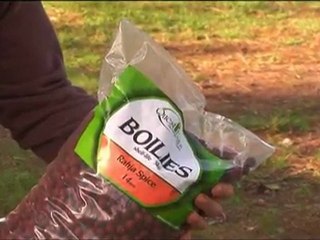 French carping at Old Oaks