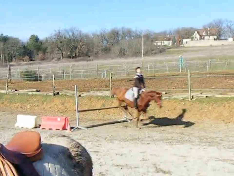 Mathilde et Gamin cours février 2011