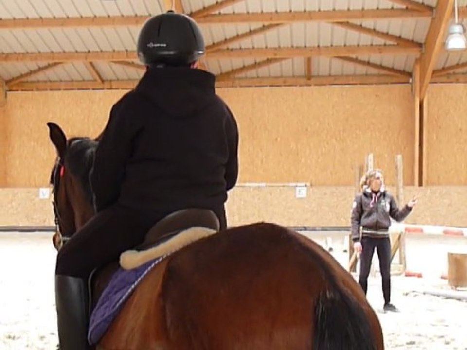 P1280477 ECURIE D'ANKARIA - HABAS - LANDES - COURS