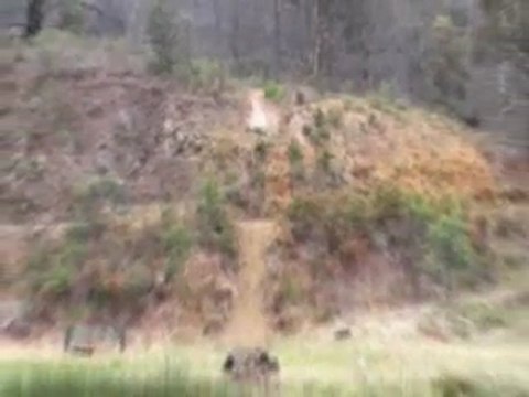 dowhill freeride at omeo!!!