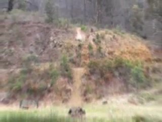 dowhill freeride at omeo!!!