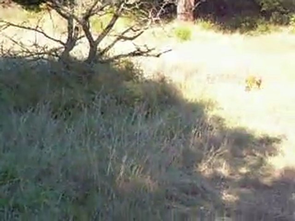 run empreinte-amarine