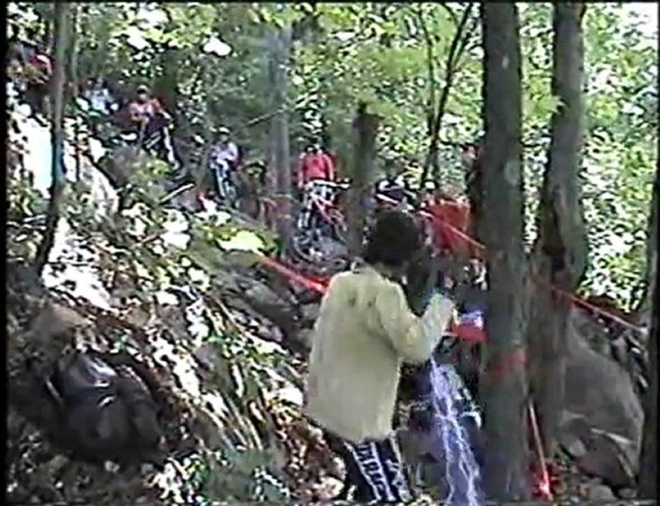 Crash Magnet