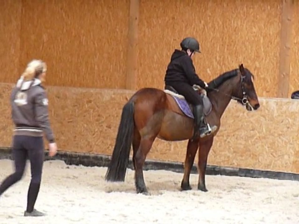 P1280487 ECURIE D'ANKARIA - HABAS - LANDES - COURS