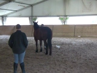 14.02.2011 .Degré 2 Ténébra