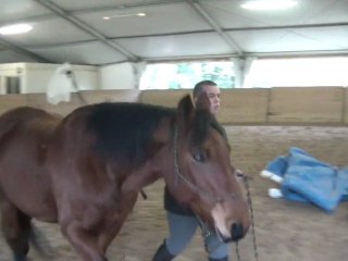 14.02.2011 .Degré 2 Ténébra