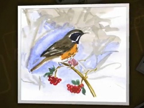 Peintures, aquarelles des oiseaux du Périgord vert.