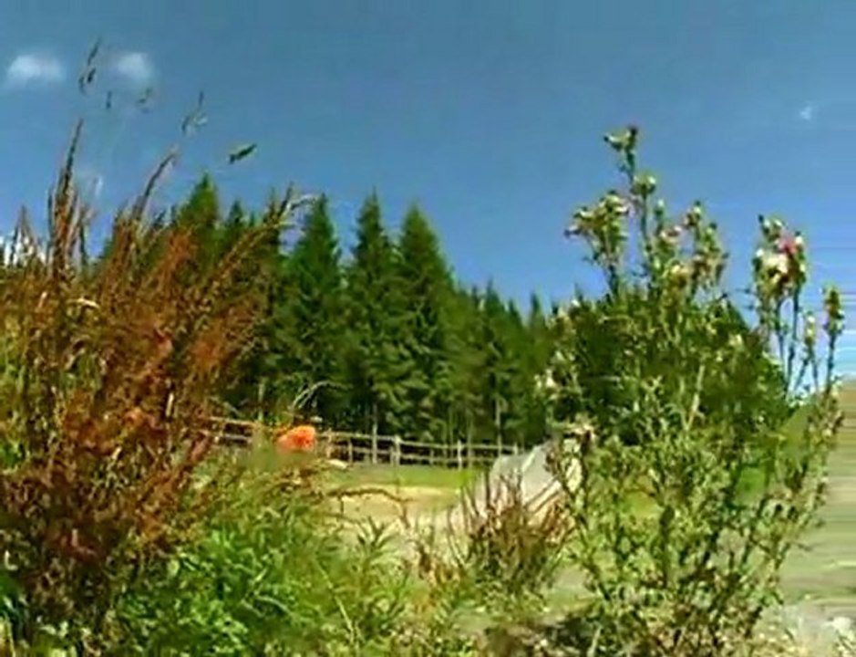 Bikepark WINTERBERG Germany - Teaser