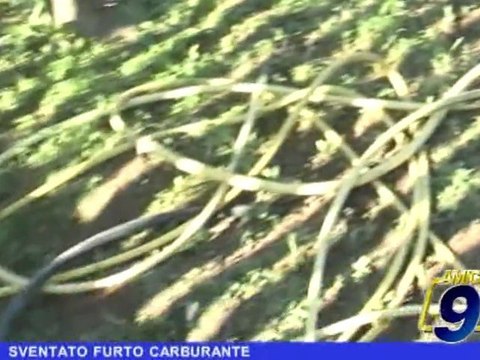 BARLETTA | Sventato furto carburante